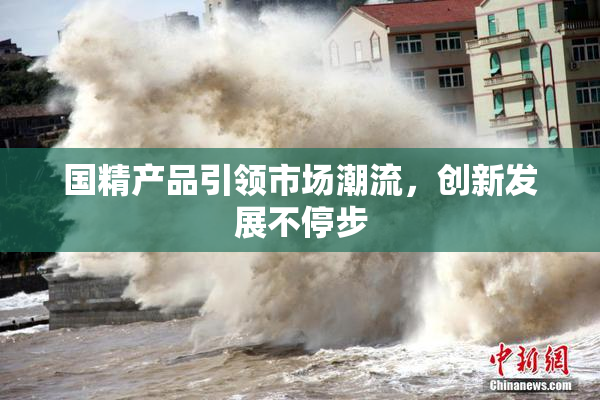 国精产品引领市场潮流，创新发展不停步