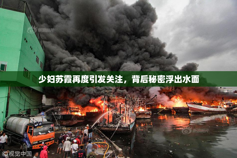 少妇苏霞再度引发关注，背后秘密浮出水面