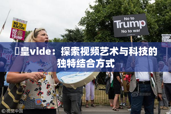 嘼皇vide：探索视频艺术与科技的独特结合方式