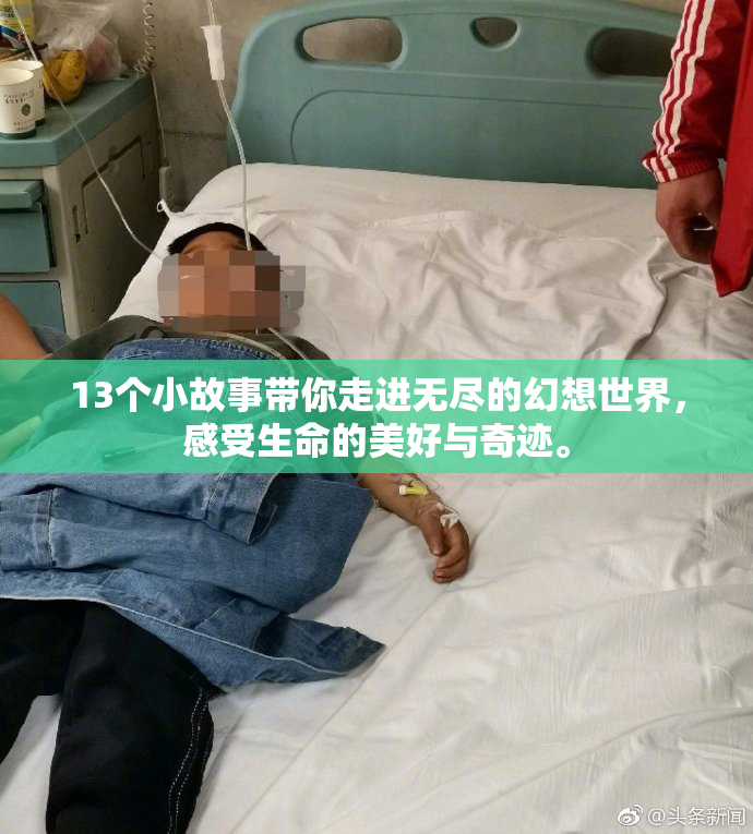 13个小故事带你走进无尽的幻想世界，感受生命的美好与奇迹。