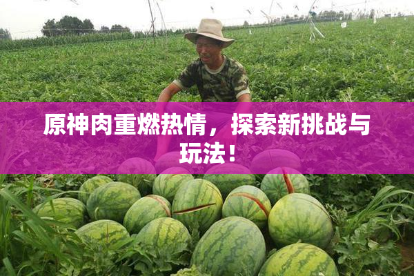 原神肉重燃热情，探索新挑战与玩法！