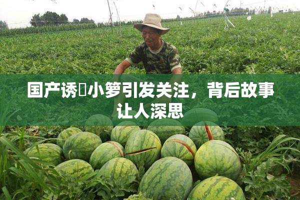 国产诱奷小箩引发关注，背后故事让人深思