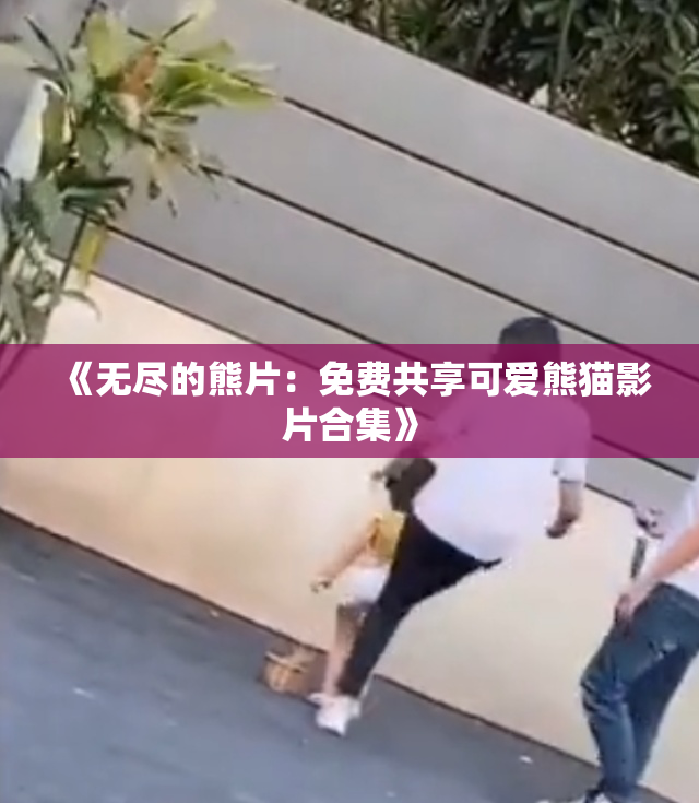 《无尽的熊片：免费共享可爱熊猫影片合集》