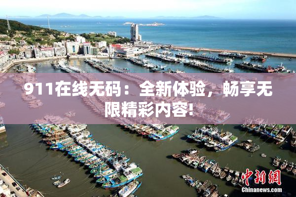 911在线无码：全新体验，畅享无限精彩内容!
