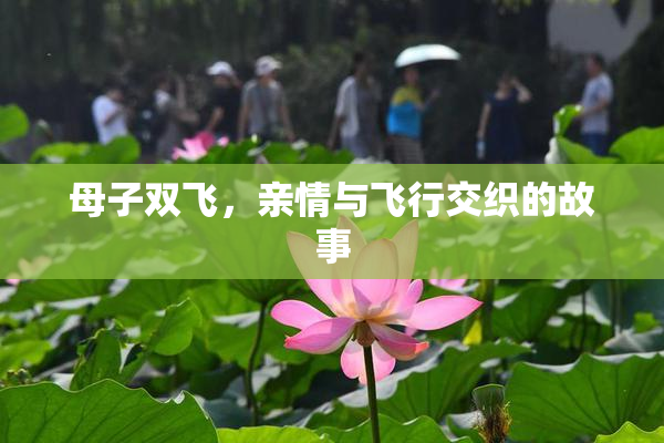 母子双飞，亲情与飞行交织的故事