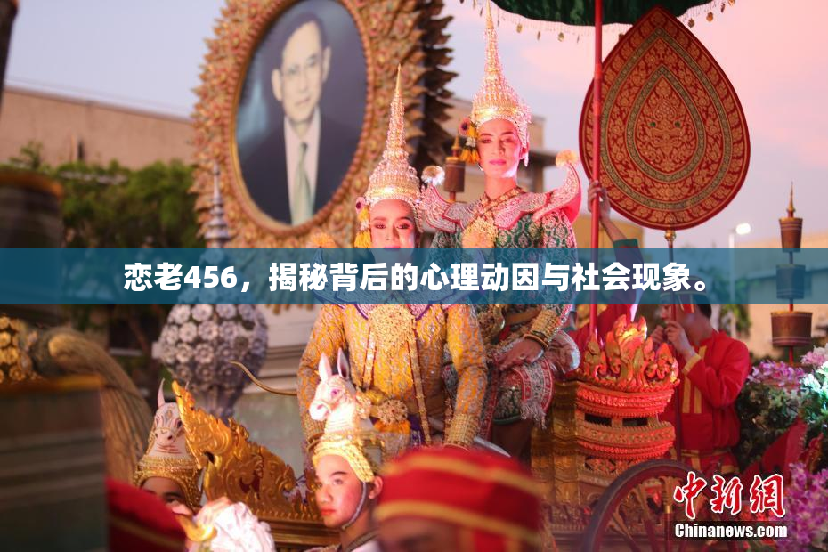 恋老456，揭秘背后的心理动因与社会现象。