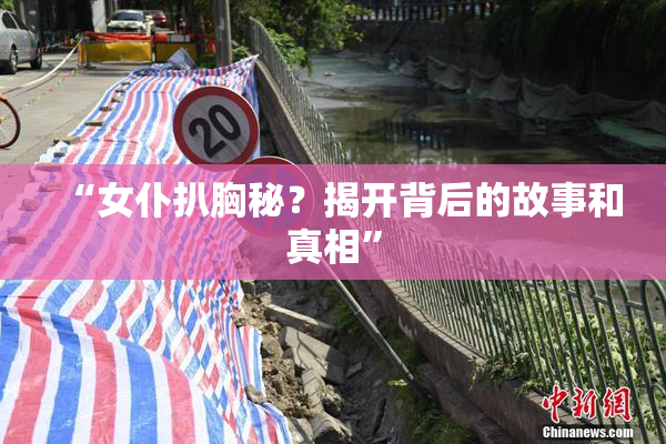 “女仆扒胸秘？揭开背后的故事和真相”
