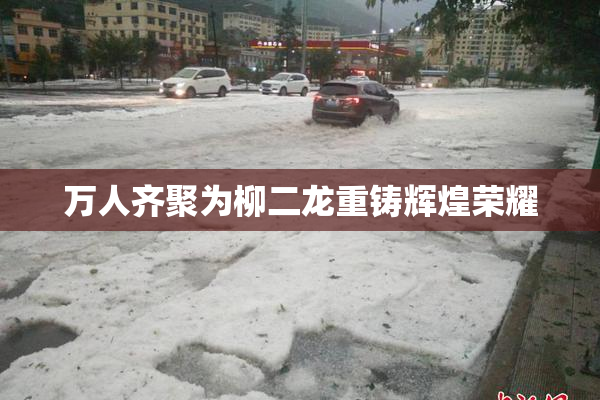 万人齐聚为柳二龙重铸辉煌荣耀