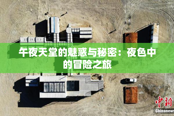 午夜天堂的魅惑与秘密：夜色中的冒险之旅