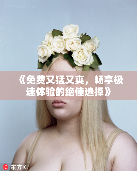 《免费又猛又爽，畅享极速体验的绝佳选择》