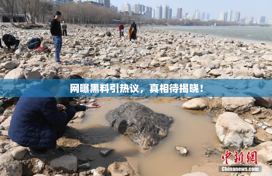 网曝黑料引热议，真相待揭晓！