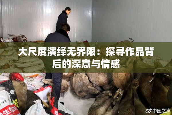大尺度演绎无界限：探寻作品背后的深意与情感
