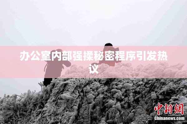 办公室内部强揉秘密程序引发热议