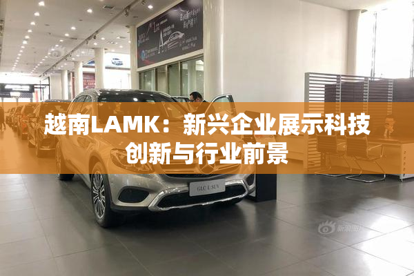 越南LAMK：新兴企业展示科技创新与行业前景