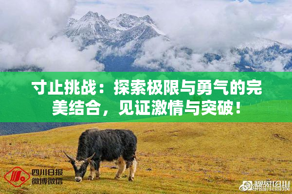 寸止挑战：探索极限与勇气的完美结合，见证激情与突破！