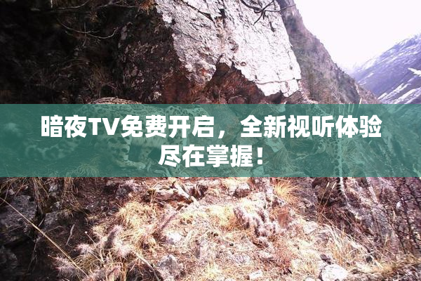 暗夜TV免费开启，全新视听体验尽在掌握！