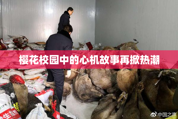 樱花校园中的心机故事再掀热潮