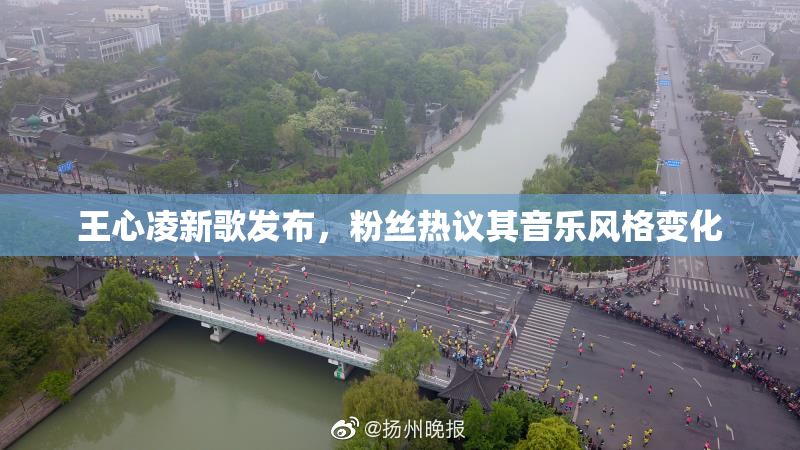 王心凌新歌发布，粉丝热议其音乐风格变化