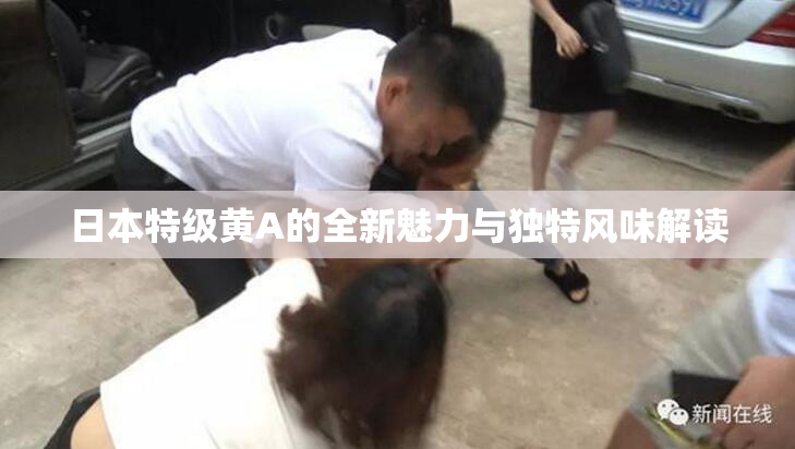 日本特级黄A的全新魅力与独特风味解读