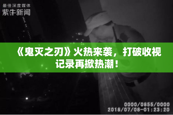 《鬼灭之刃》火热来袭，打破收视记录再掀热潮！