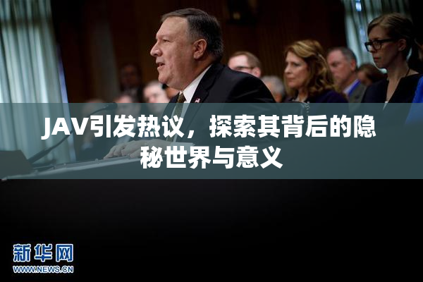 JAV引发热议，探索其背后的隐秘世界与意义