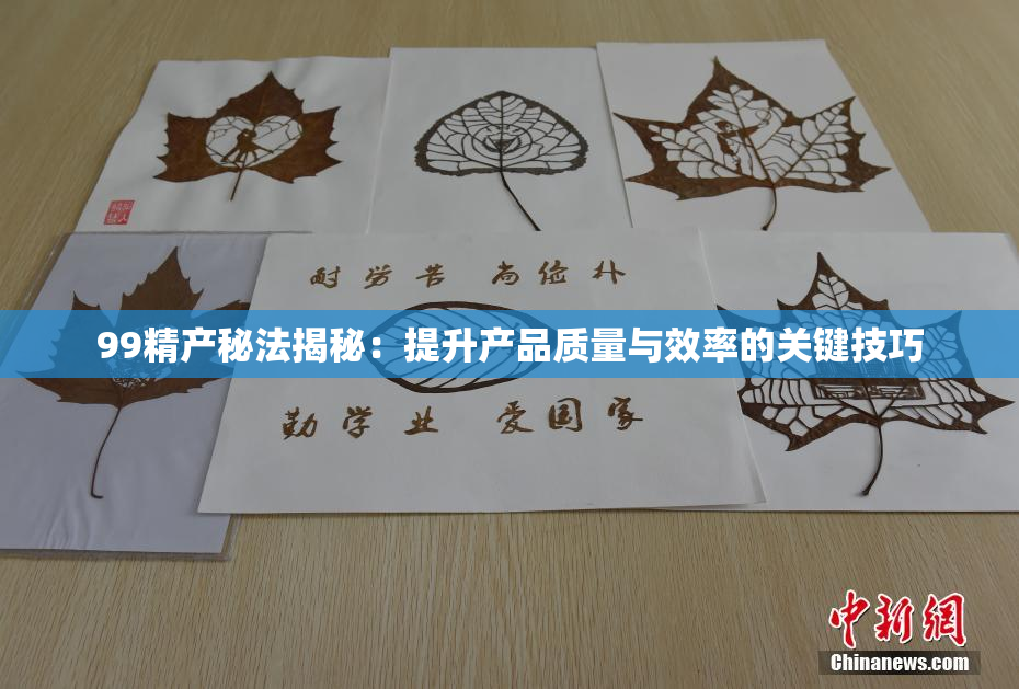 99精产秘法揭秘：提升产品质量与效率的关键技巧