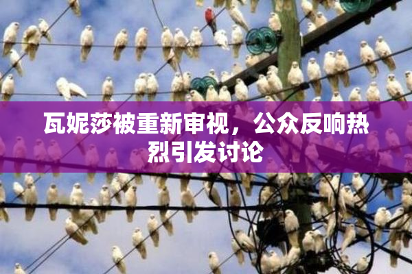 瓦妮莎被重新审视，公众反响热烈引发讨论