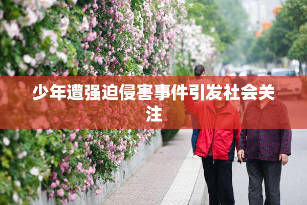 少年遭强迫侵害事件引发社会关注