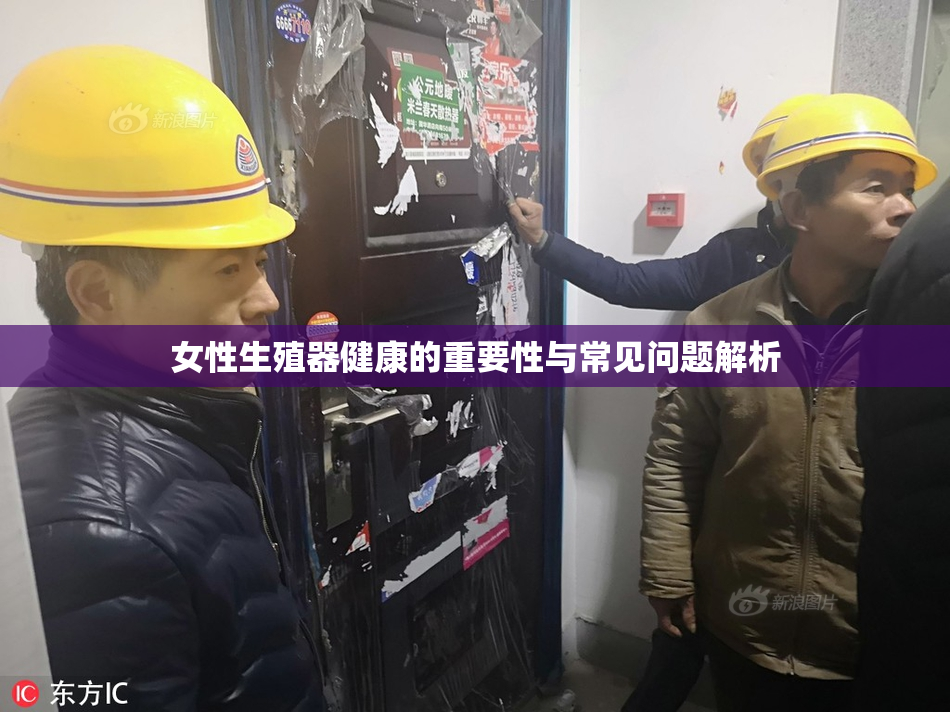 女性生殖器健康的重要性与常见问题解析