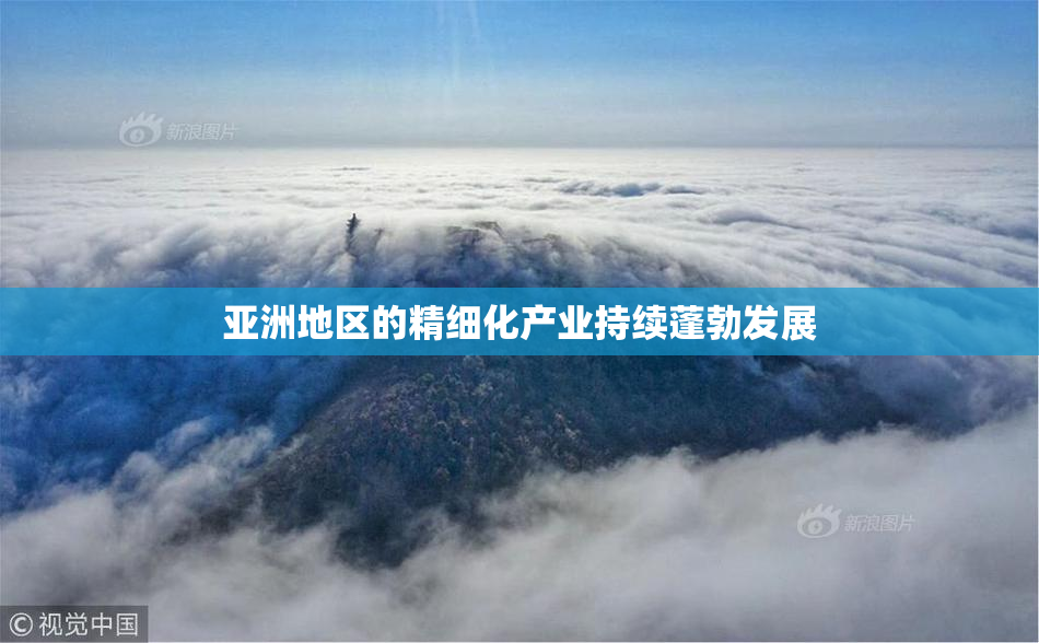 亚洲地区的精细化产业持续蓬勃发展