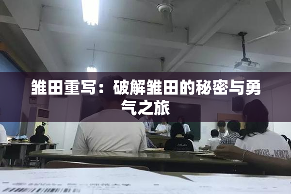 雏田重写：破解雏田的秘密与勇气之旅