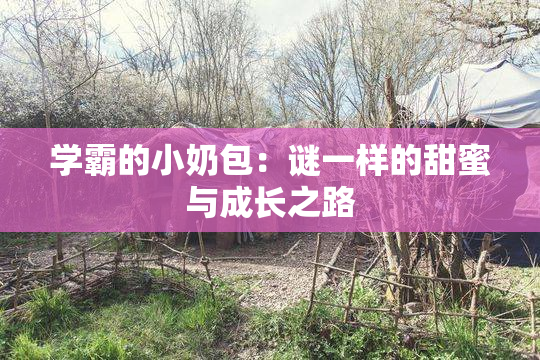 学霸的小奶包：谜一样的甜蜜与成长之路
