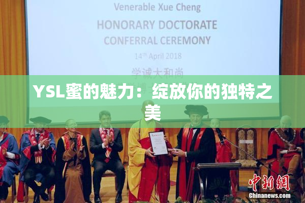 YSL蜜的魅力：绽放你的独特之美