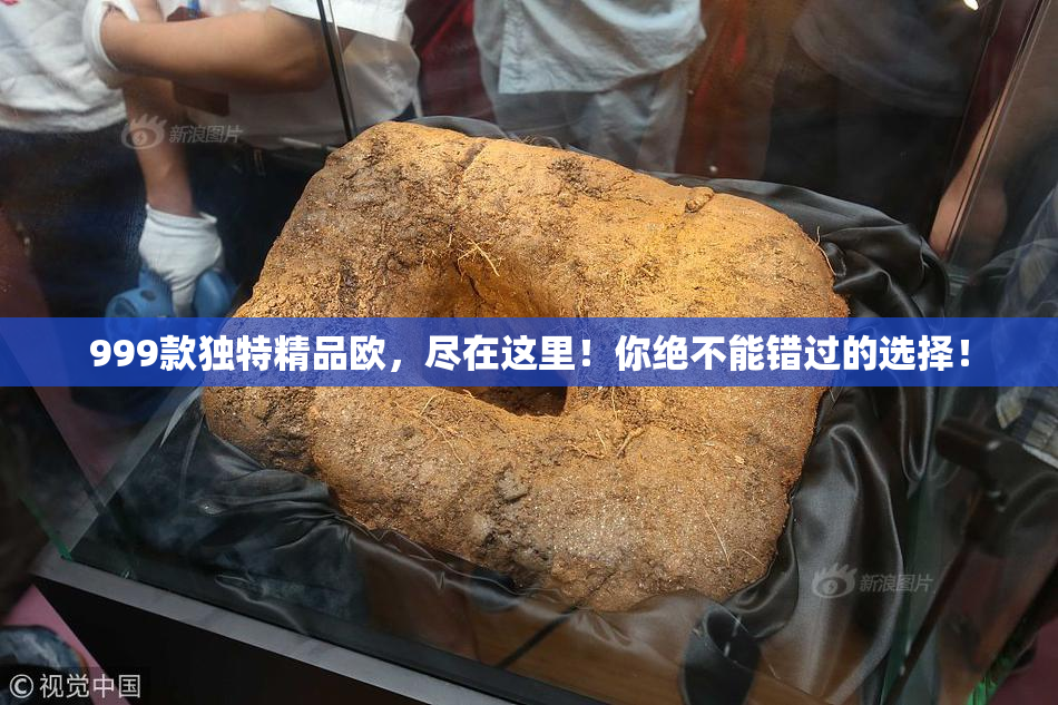 999款独特精品欧，尽在这里！你绝不能错过的选择！