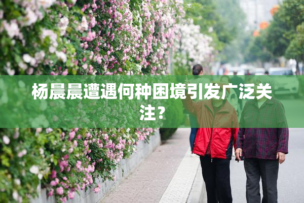 杨晨晨遭遇何种困境引发广泛关注？