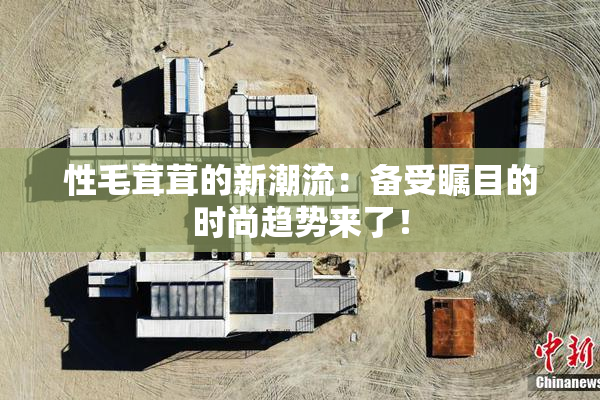 性毛茸茸的新潮流：备受瞩目的时尚趋势来了！