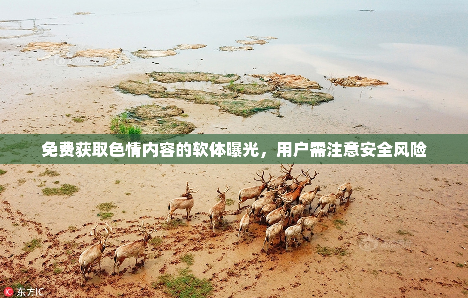 免费获取色情内容的软体曝光，用户需注意安全风险