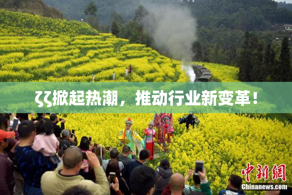 ζζ掀起热潮，推动行业新变革！