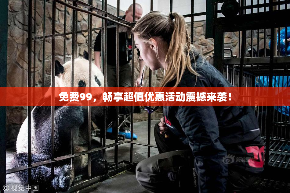 免费99，畅享超值优惠活动震撼来袭！