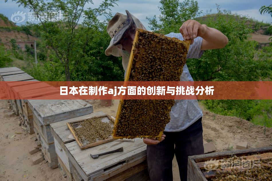 日本在制作aj方面的创新与挑战分析