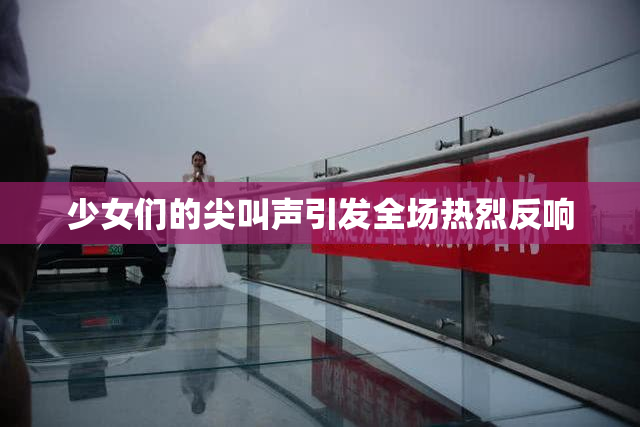少女们的尖叫声引发全场热烈反响