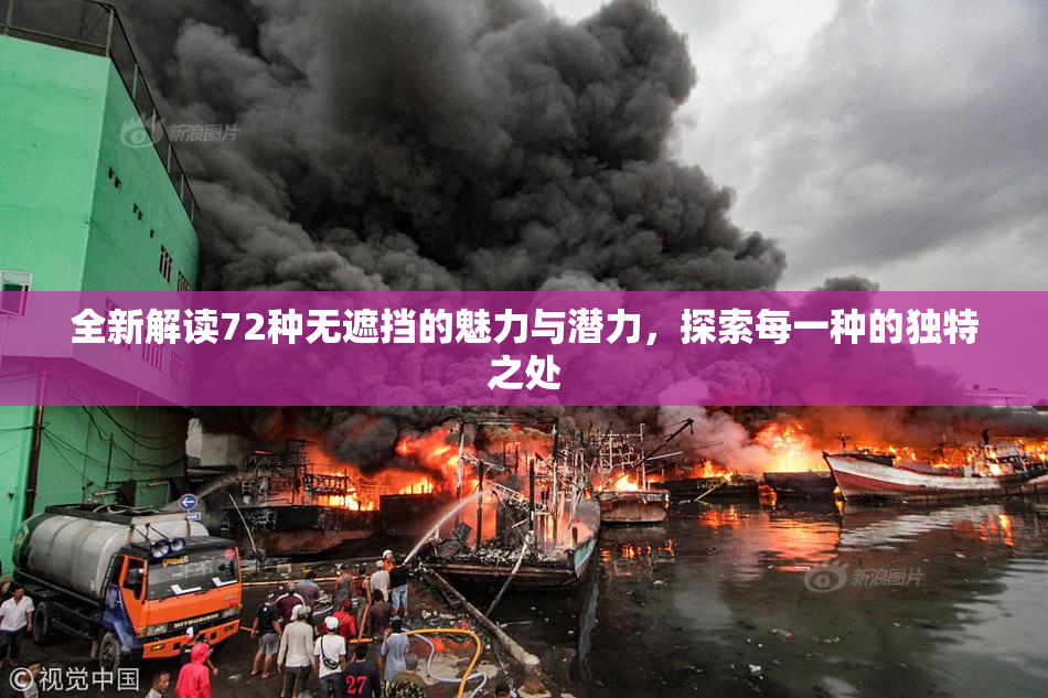 全新解读72种无遮挡的魅力与潜力，探索每一种的独特之处