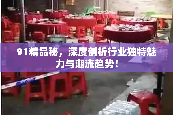 91精品秘，深度剖析行业独特魅力与潮流趋势！