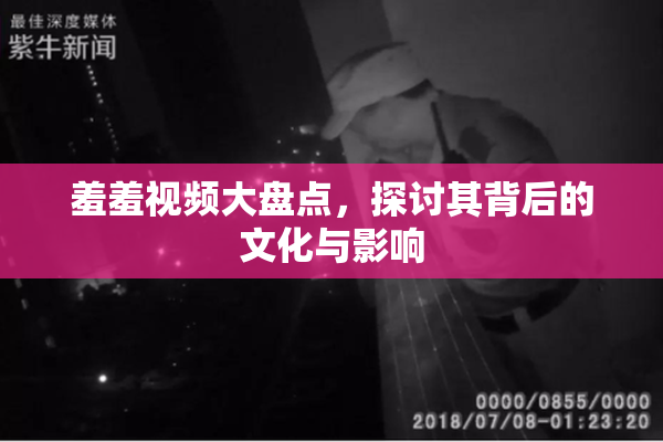 羞羞视频大盘点，探讨其背后的文化与影响