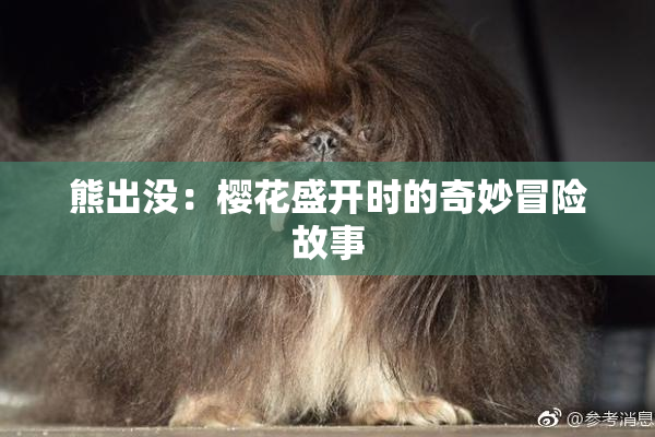 熊出没：樱花盛开时的奇妙冒险故事