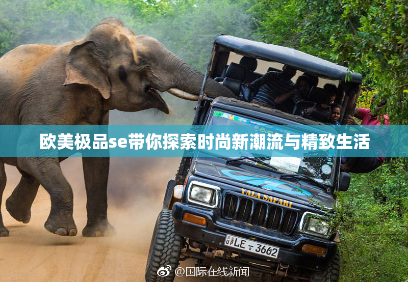 欧美极品se带你探索时尚新潮流与精致生活