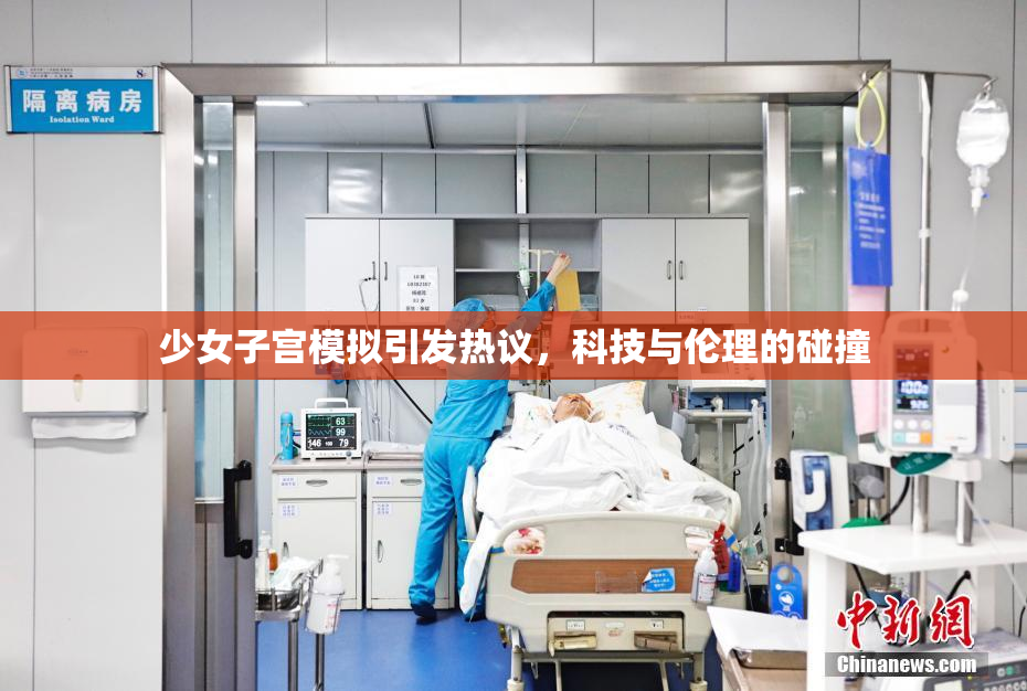 少女子宫模拟引发热议，科技与伦理的碰撞