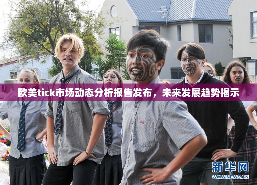 欧美tick市场动态分析报告发布，未来发展趋势揭示