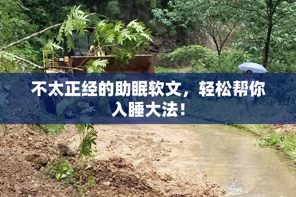 不太正经的助眠软文，轻松帮你入睡大法！