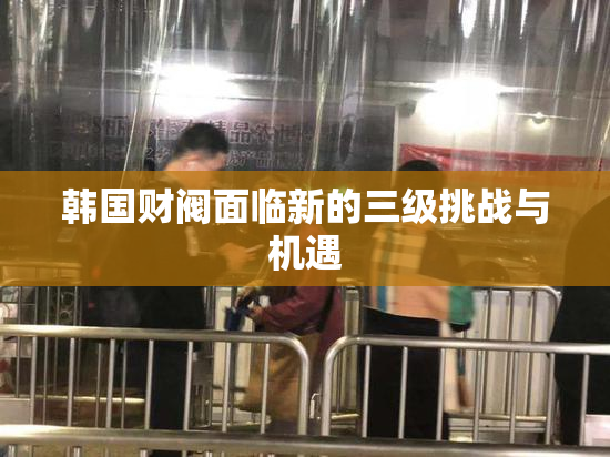 韩国财阀面临新的三级挑战与机遇